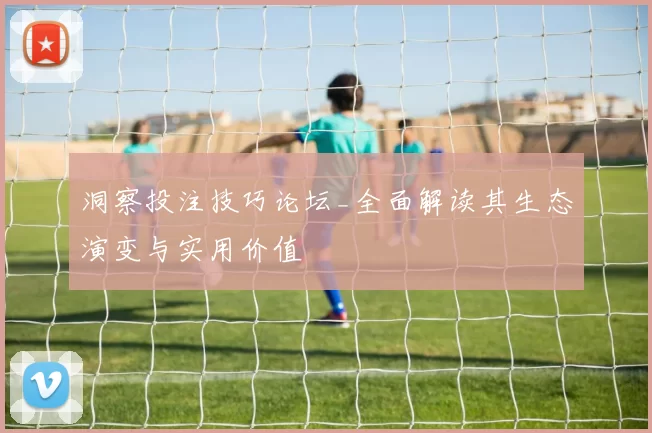 洞察投注技巧论坛_全面解读其生态演变与实用价值