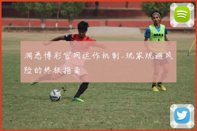 洞悉博彩官网运作机制_玩家规避风险的终极指南
