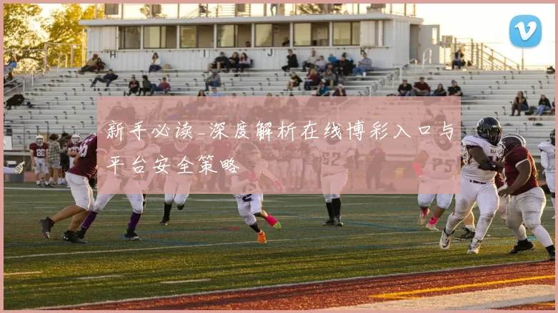 新手必读_深度解析在线博彩入口与平台安全策略