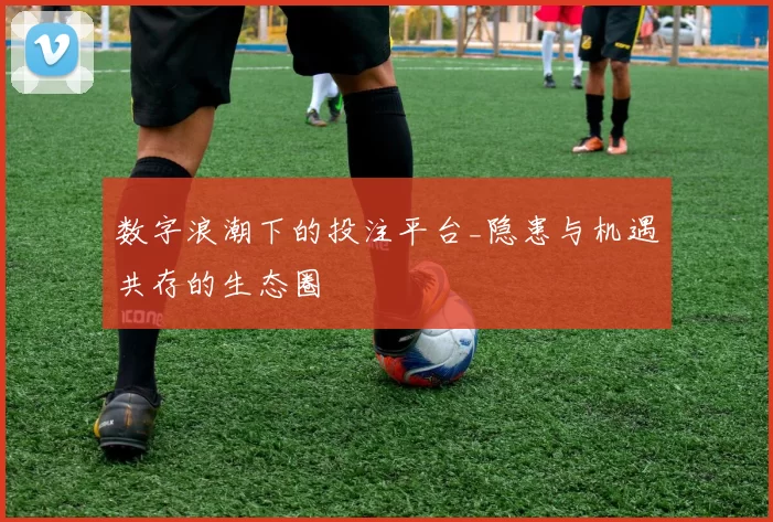 数字浪潮下的投注平台_隐患与机遇共存的生态圈
