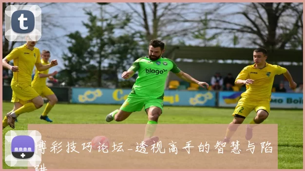 博彩技巧论坛_透视高手的智慧与陷阱
