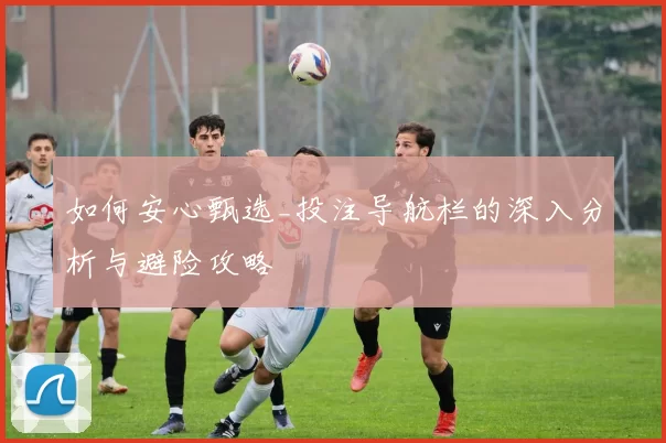 如何安心甄选_投注导航栏的深入分析与避险攻略