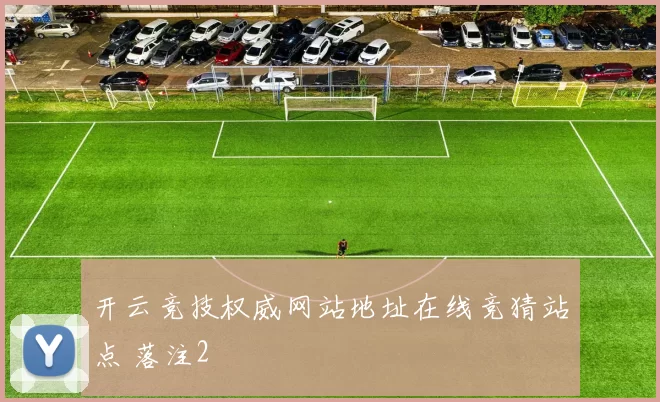 开云竞技权威网站地址在线竞猜站点 落注2