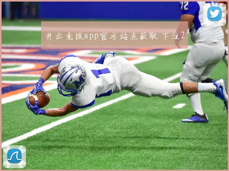 开云竞技app官方站点获取 下注2