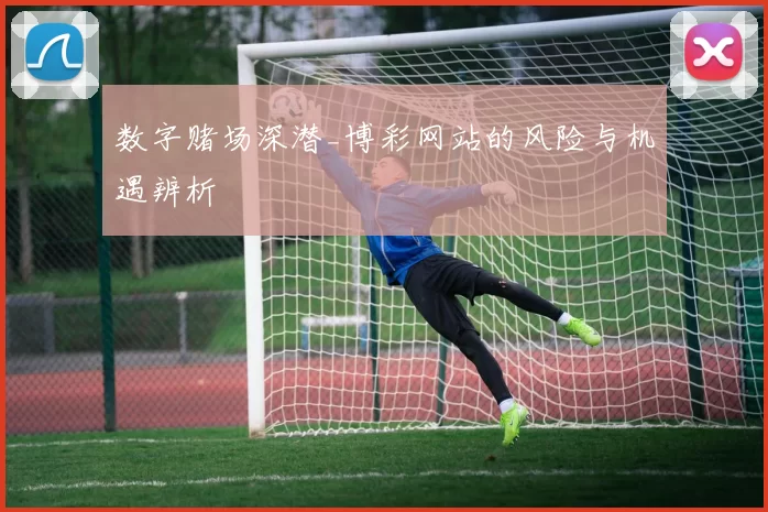 数字赌场深潜_博彩网站的风险与机遇辨析