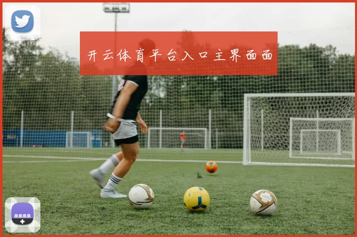 开云体育平台入口主界面面