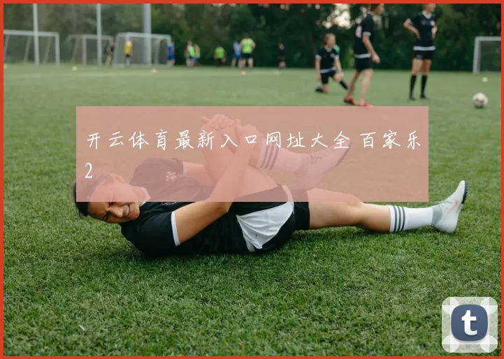 开云体育最新入口网址大全 百家乐2