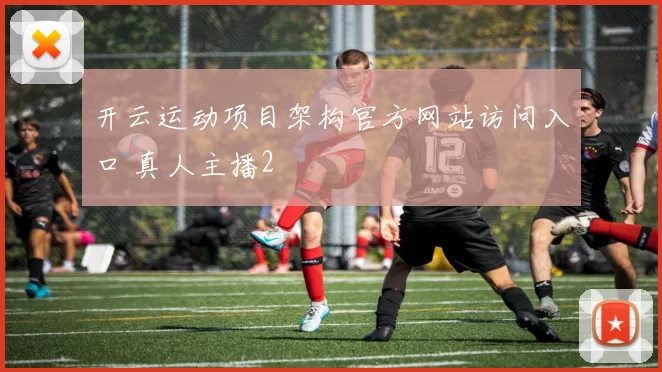 开云运动项目架构官方网站访问入口 真人主播2