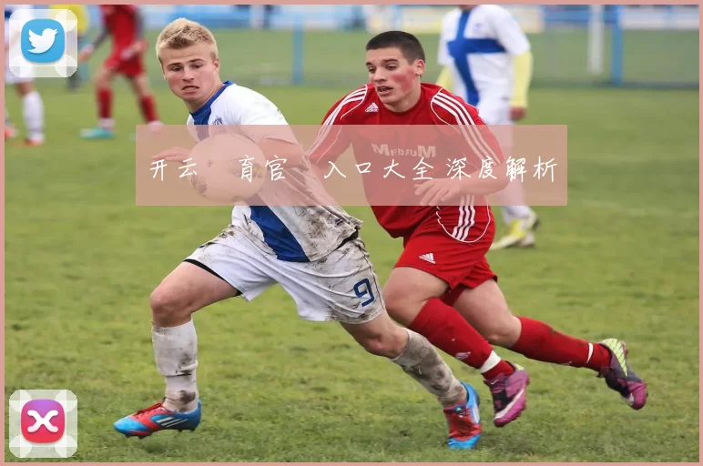 开云體育官網入口大全 深度解析