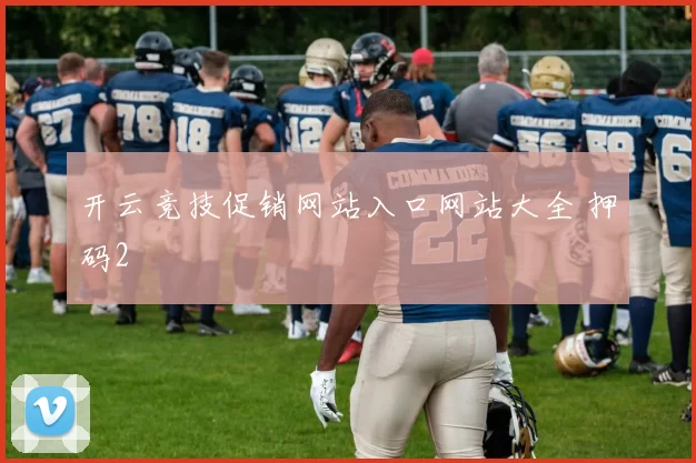 开云竞技促销网站入口网站大全 押码2