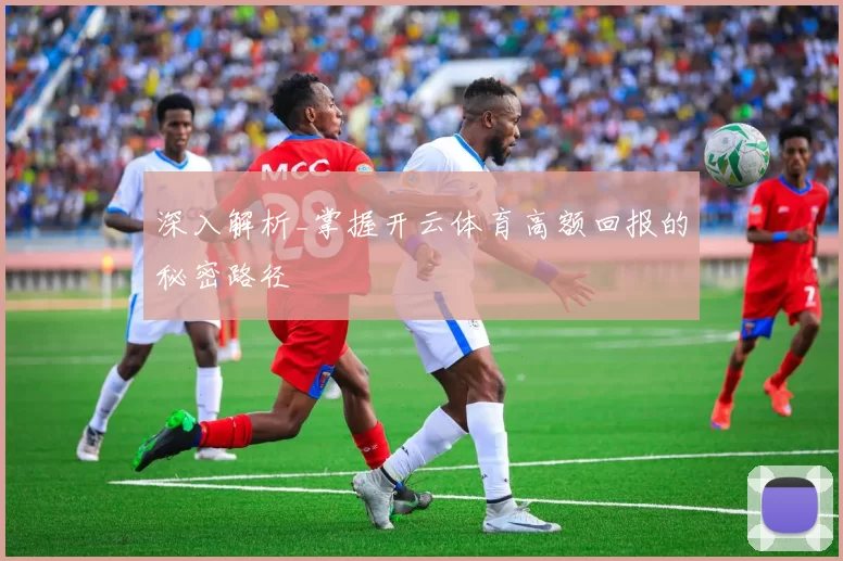 深入解析_掌握开云体育高额回报的秘密路径