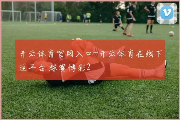 开云体育官网入口-开云体育在线下注平台 球赛博彩2