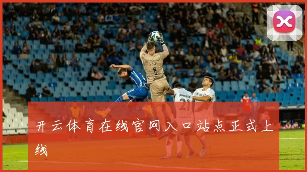 开云体育在线官网入口站点正式上线