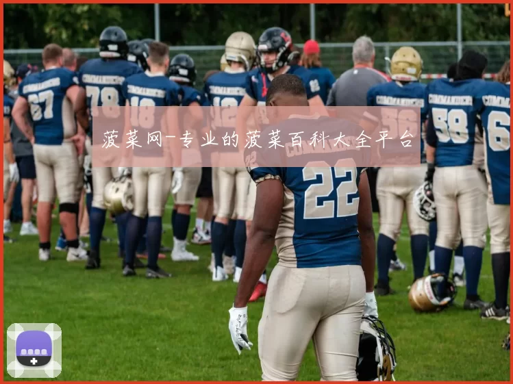 菠菜网-专业的菠菜百科大全平台