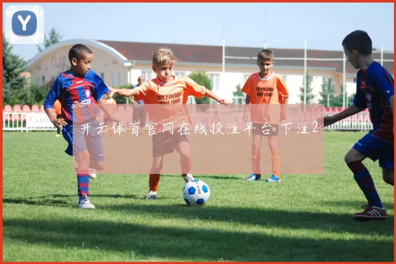 开云体育官网在线投注平台 下注2